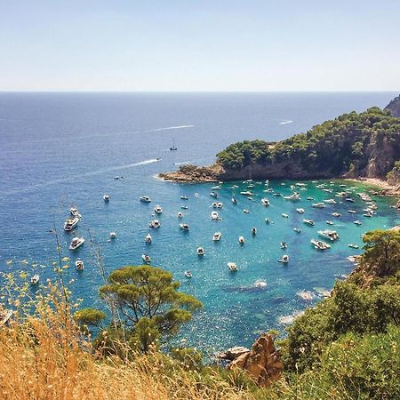 Stunning Apartment In Tossa De Mar With Kitchen Екстер'єр фото